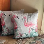 Flamingo 5 Stars Cozy Room - With Ac